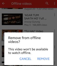 Cómo eliminar videos de YouTube sin conexión guardados de Android ...
